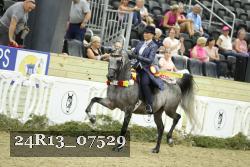 24R13_07529 thumbnail