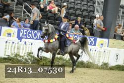 24R13_07530 thumbnail