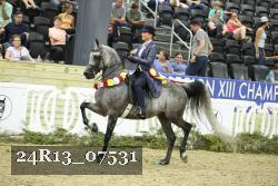 24R13_07531 thumbnail