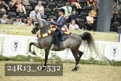 24R13_07532 thumbnail