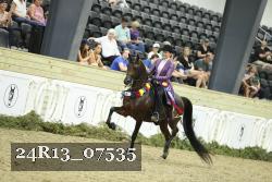 24R13_07535 thumbnail