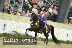 24R13_07536 thumbnail