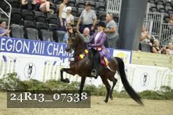 24R13_07538 thumbnail