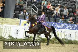 24R13_07539 thumbnail
