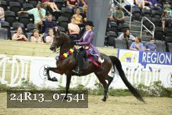 24R13_07541 thumbnail