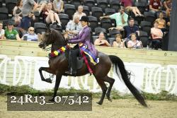 24R13_07542 thumbnail
