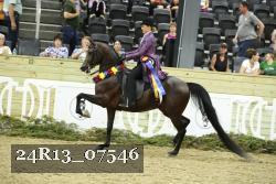 24R13_07546 thumbnail