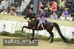 24R13_07547 thumbnail