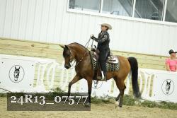 24R13_07577 thumbnail