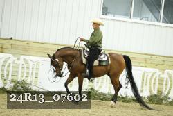 24R13_07602 thumbnail