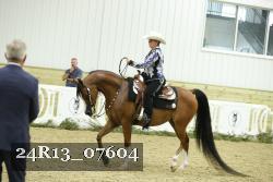 24R13_07604 thumbnail