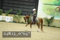 24R13_07647 thumbnail