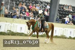 24R13_07650 thumbnail