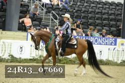 24R13_07669 thumbnail