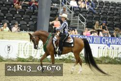 24R13_07670 thumbnail