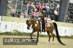 24R13_07677 thumbnail
