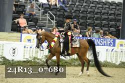 24R13_07680 thumbnail