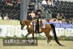 24R13_07681 thumbnail