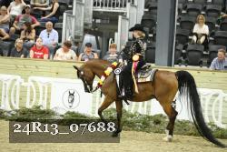 24R13_07688 thumbnail