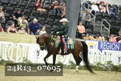 24R13_07695 thumbnail