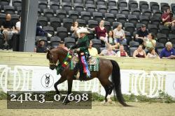 24R13_07698 thumbnail