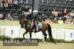 24R13_07699 thumbnail