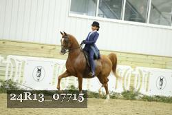 24R13_07715 thumbnail