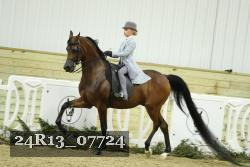 24R13_07724 thumbnail