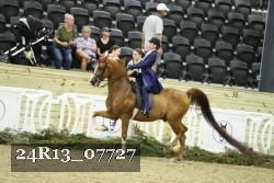 24R13_07727 thumbnail