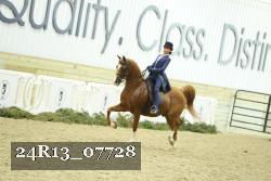 24R13_07728 thumbnail