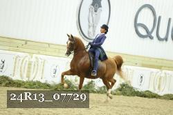 24R13_07729 thumbnail
