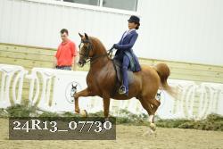 24R13_07730 thumbnail