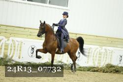 24R13_07732 thumbnail