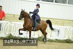 24R13_07733 thumbnail