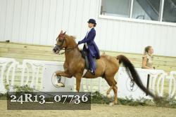 24R13_07736 thumbnail