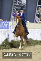 24R13_07738 thumbnail