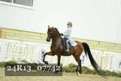 24R13_07742 thumbnail