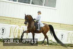 24R13_07743 thumbnail