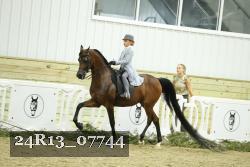 24R13_07744 thumbnail