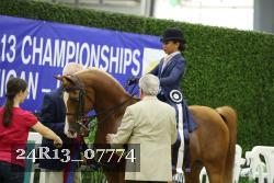 24R13_07774 thumbnail