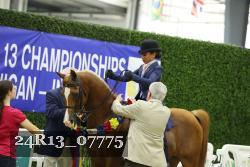 24R13_07775 thumbnail
