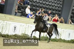 24R13_07783 thumbnail