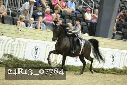 24R13_07784 thumbnail