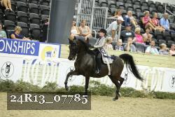 24R13_07785 thumbnail