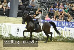 24R13_07787 thumbnail
