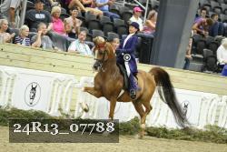 24R13_07788 thumbnail