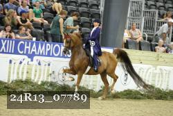24R13_07789 thumbnail