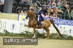 24R13_07790 thumbnail