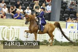 24R13_07791 thumbnail