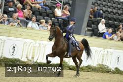 24R13_07792 thumbnail